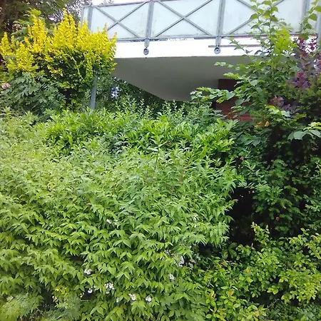 Appartement Forststrasse Am Residence-park *