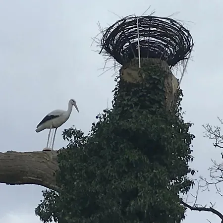 Forststrasse Am Residence-park Raben Steinfeld