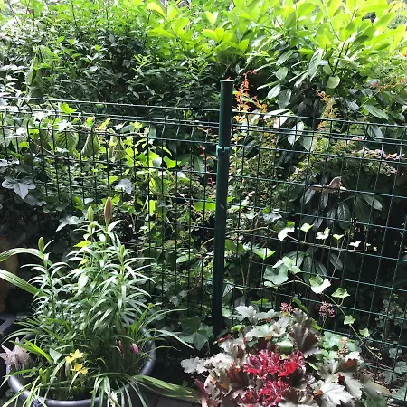 Appartement Forststrasse Am Residence-park *