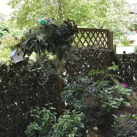 Forststrasse Am Residence-park Raben Steinfeld