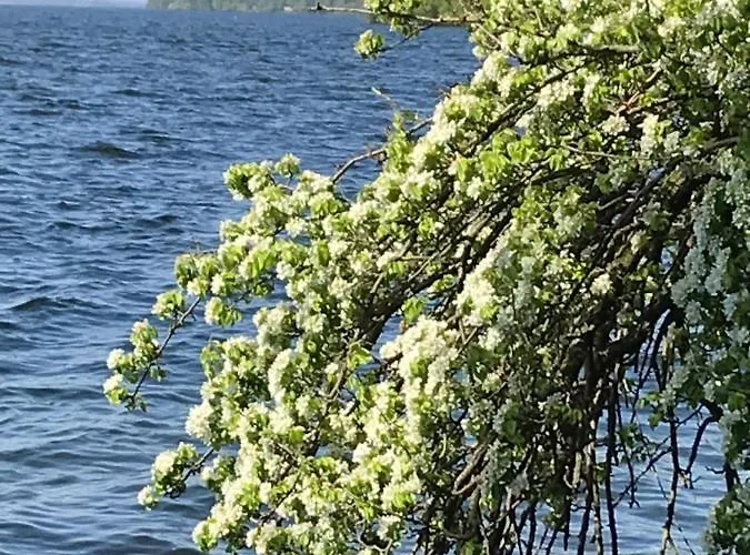 Forststrasse Am Residence-park *