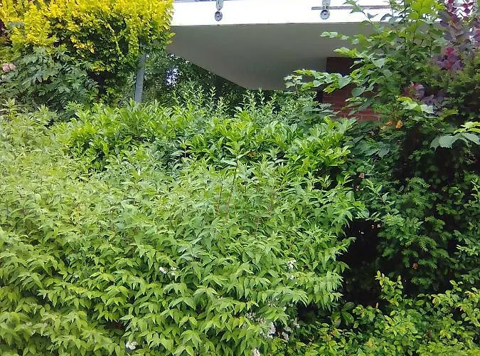 Apartman Forststrasse Am Residence-park *