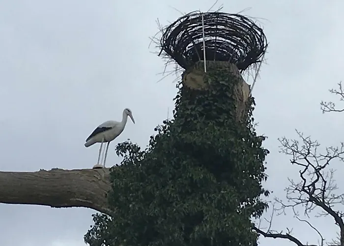 Forststrasse Am Residence-park Raben Steinfeld